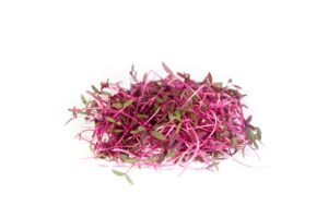 Brotes de Amaranthus (30g)