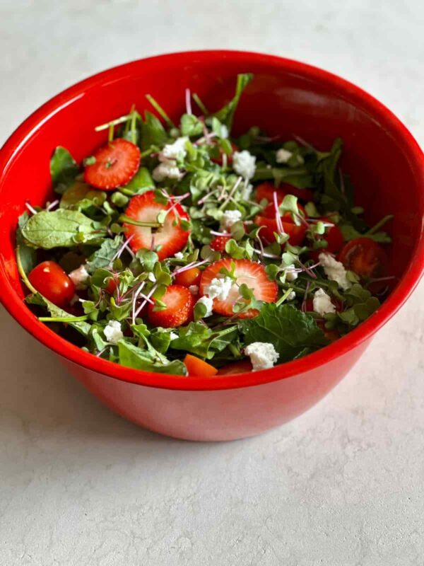 Ensaladera Fresh Bowl